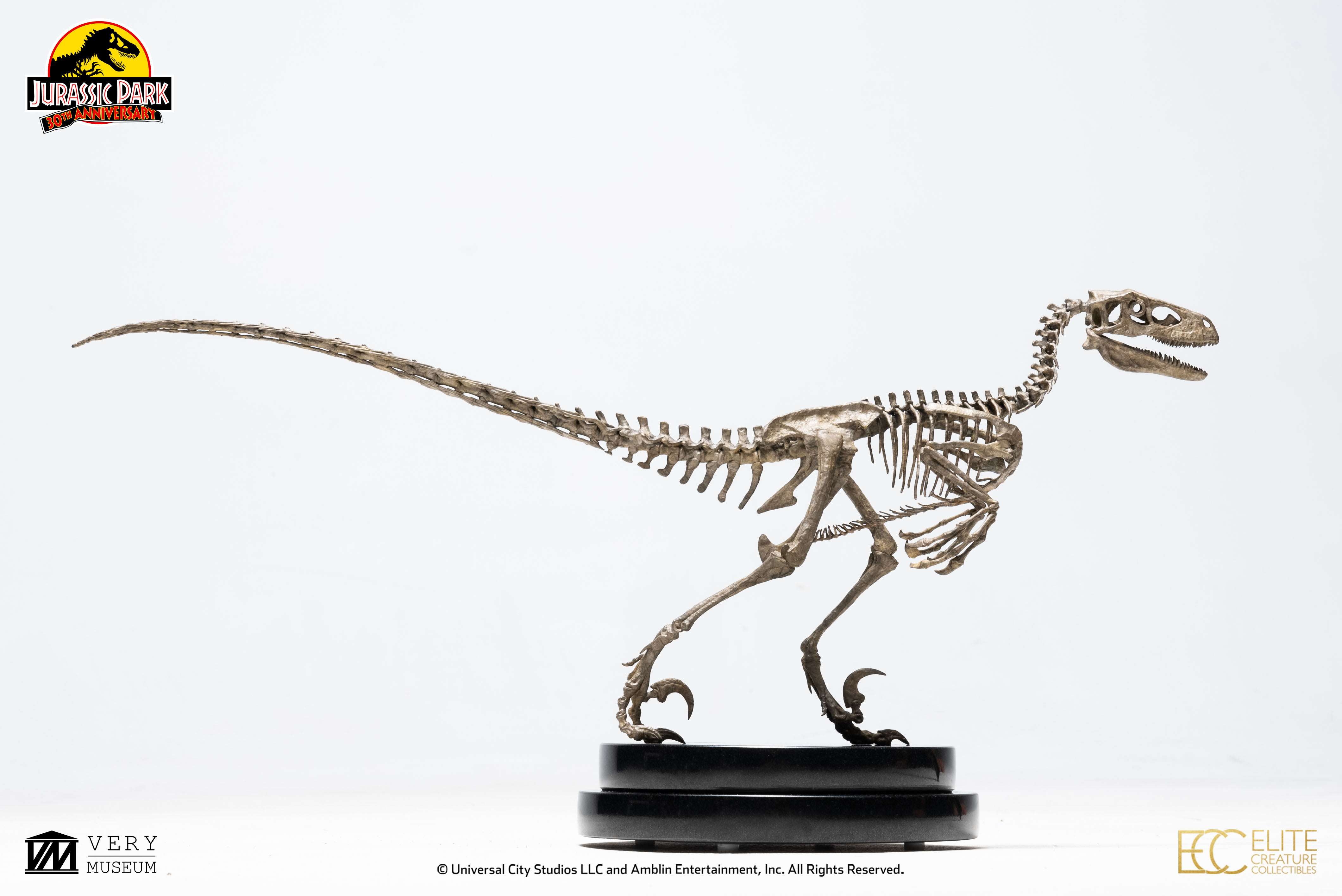 raptor skeleton jurassic park